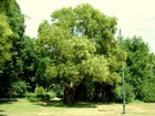DSCF1913.JPG