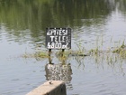 2010. évi árvíz - Felsőzsolca 24.