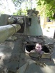 SAM_0195.JPG