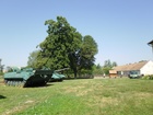 SAM_0197.JPG