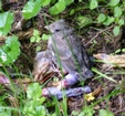 DSCF1658.JPG