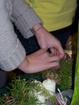 100_5668.JPG