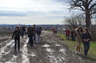 DSC_0382.JPG