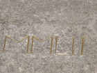 DSCF0273.JPG