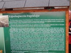 042.JPG