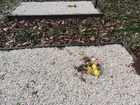 051.JPG