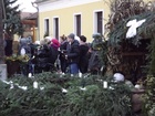DSCF2660.JPG