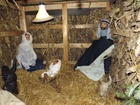 DSCF2718.JPG