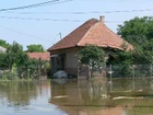 árvíz