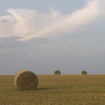 bála