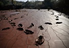 Red sludge
