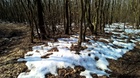 11016721_1056538141039792_77403489_n.jpg