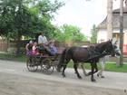 IMG_4142.JPG