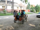 IMG_4162.JPG