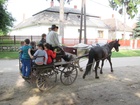 IMG_4163.JPG