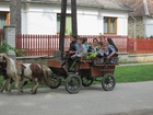 IMG_4166.JPG