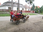 IMG_4167.JPG