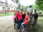IMG_4192.JPG