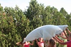 IMG_2753.JPG