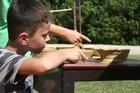 IMG_2846.JPG