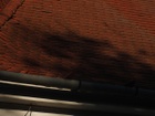 DSCF5272.JPG