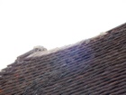 DSCF5295.JPG