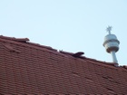 DSCF5299.JPG