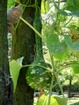 DSCF2143.JPG