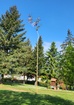 20230504_090405.jpg