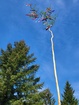 20230504_091047.jpg