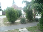 DSCF3980.JPG
