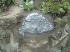 DSCF3983.JPG
