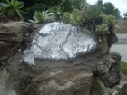 DSCF3984.JPG