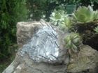 DSCF3987.JPG