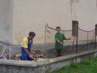 100_0570.JPG