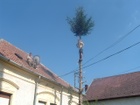 DSCF4285.JPG