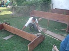 DSCF4583.JPG