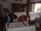 DSCF4700.JPG