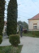 DSCF4776.JPG