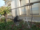 DSCF4901.JPG