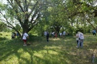 Szeretethíd 2012