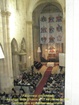erd2010- 061.jpg