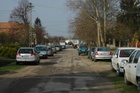 DSC_7944.jpg