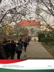 vándor3
