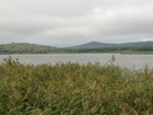 20111008712.jpg