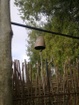 20111008715.jpg