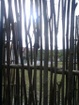 20111008716.jpg