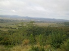 20111008734.jpg