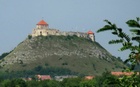 25630079.jpg